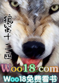 狼窝里的战斗老电视剧